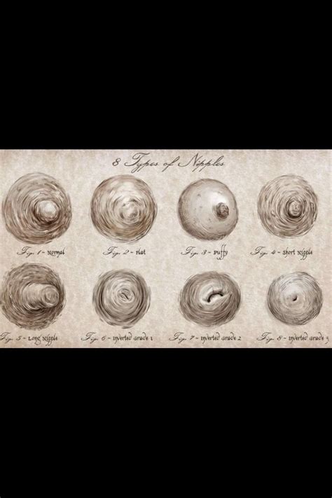 petite teen boobs|There Are 8 Types of Nipples in the World